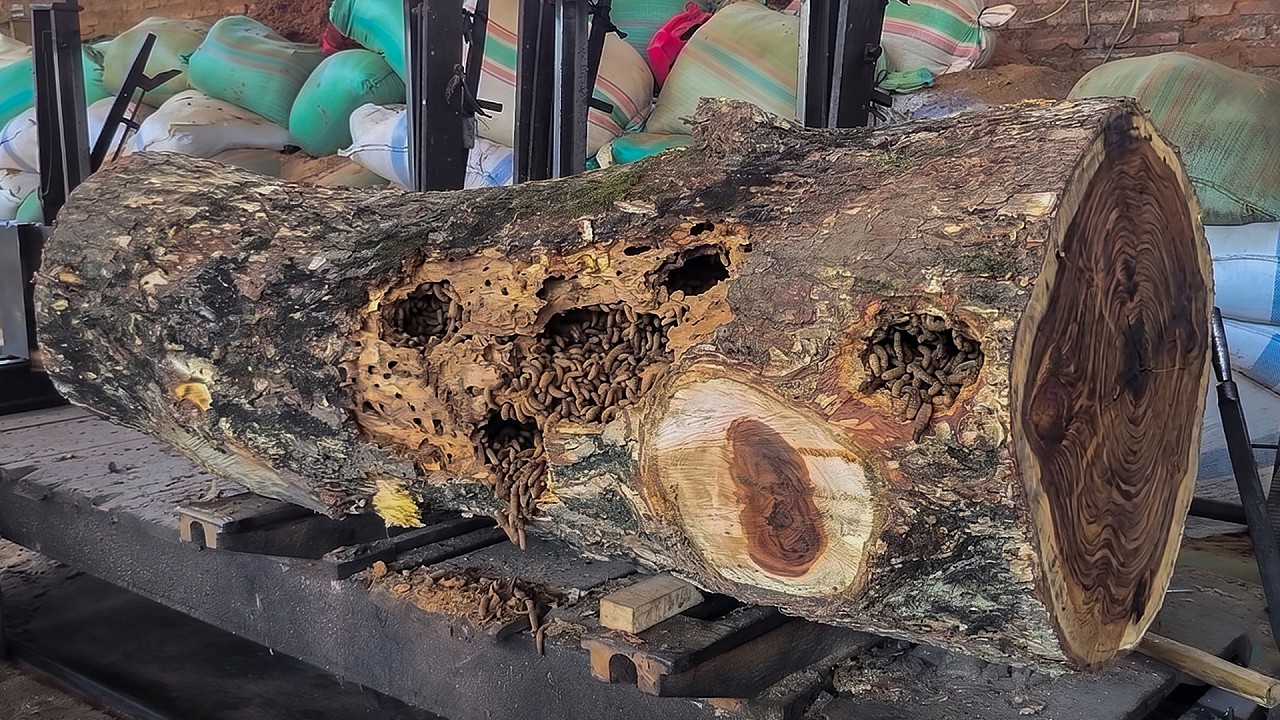 Extreme Trembesi Slab Production 🔥 Dangerous Cracks Appeared Mid Cut 😱