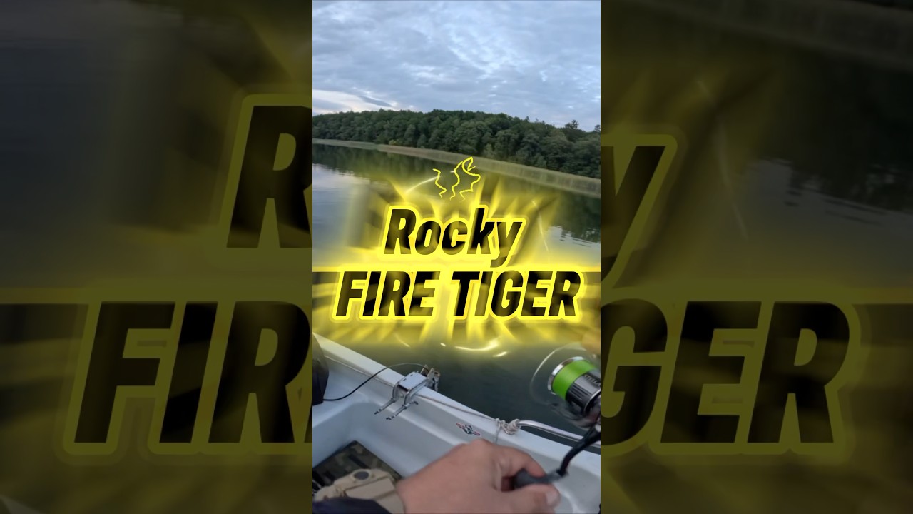 Rocky Fire Tiger 🔥 przynętę kupisz na greatfish.pl #fishing #handmadelure #greatfish #wedkarstwo