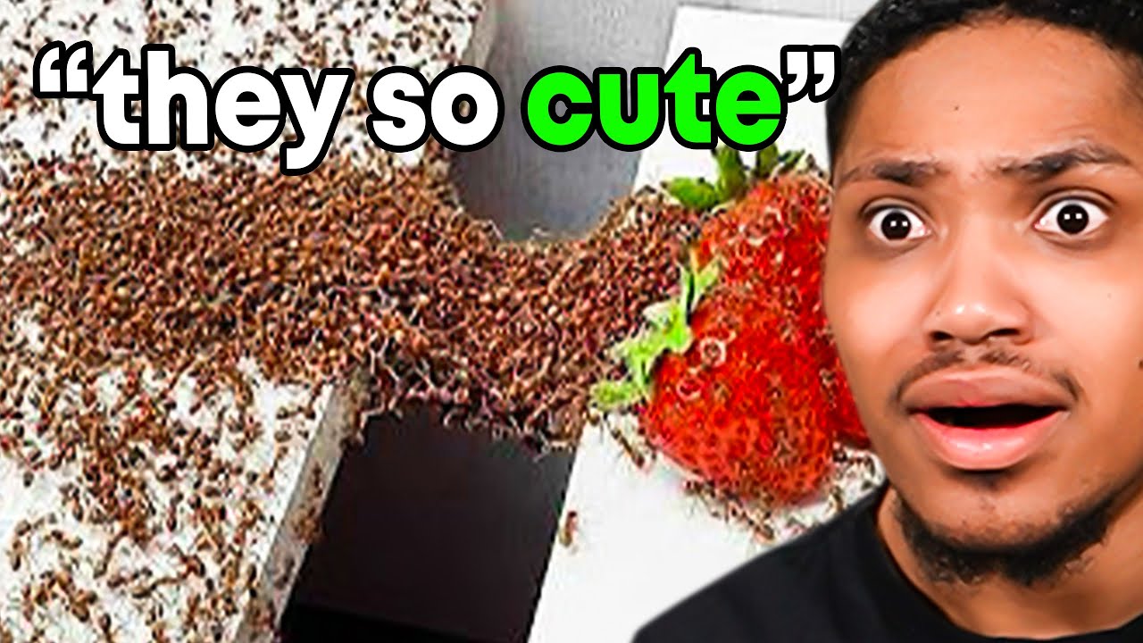 1,000 Ants Vs Obstacles😳 (YN JIT RETURNS)