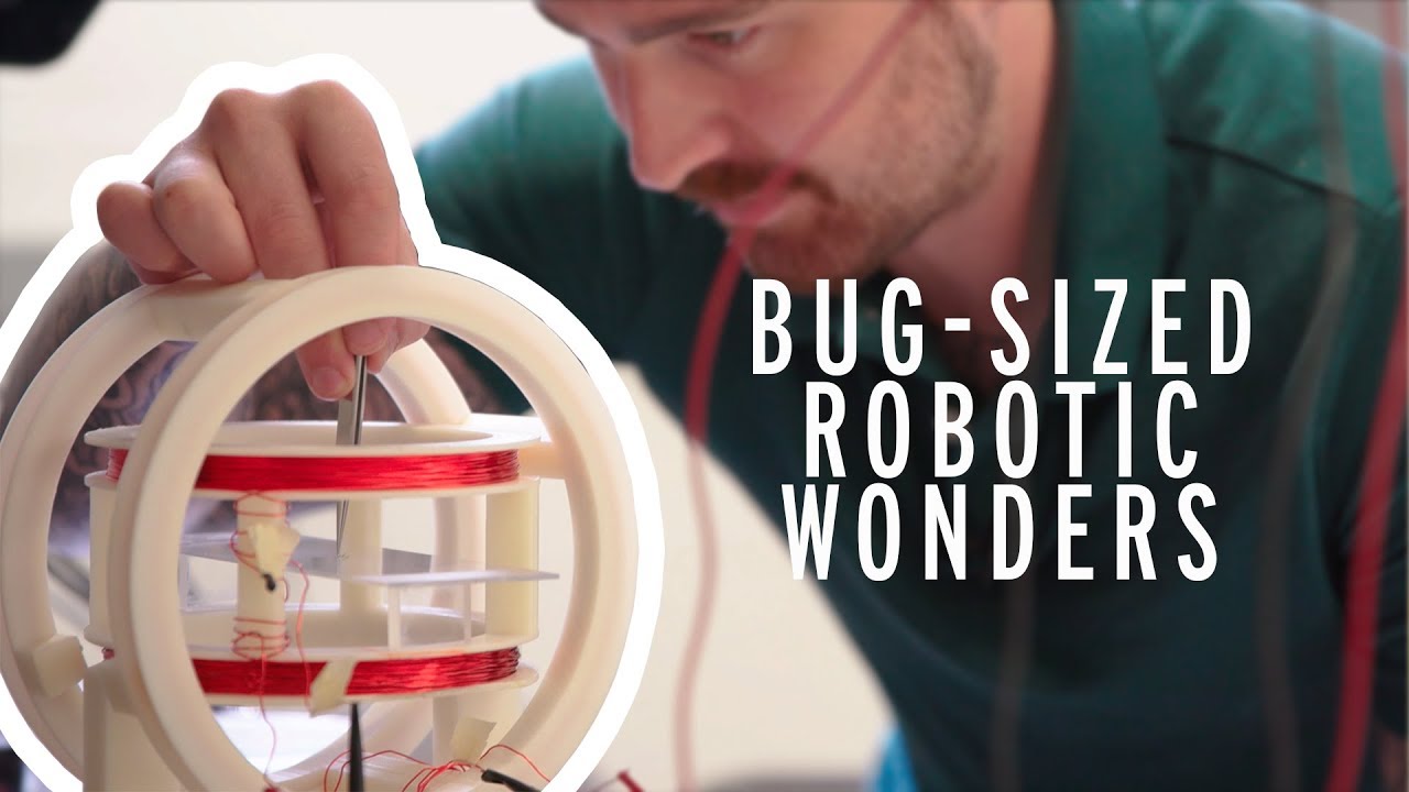 Bug-sized robotic wonders