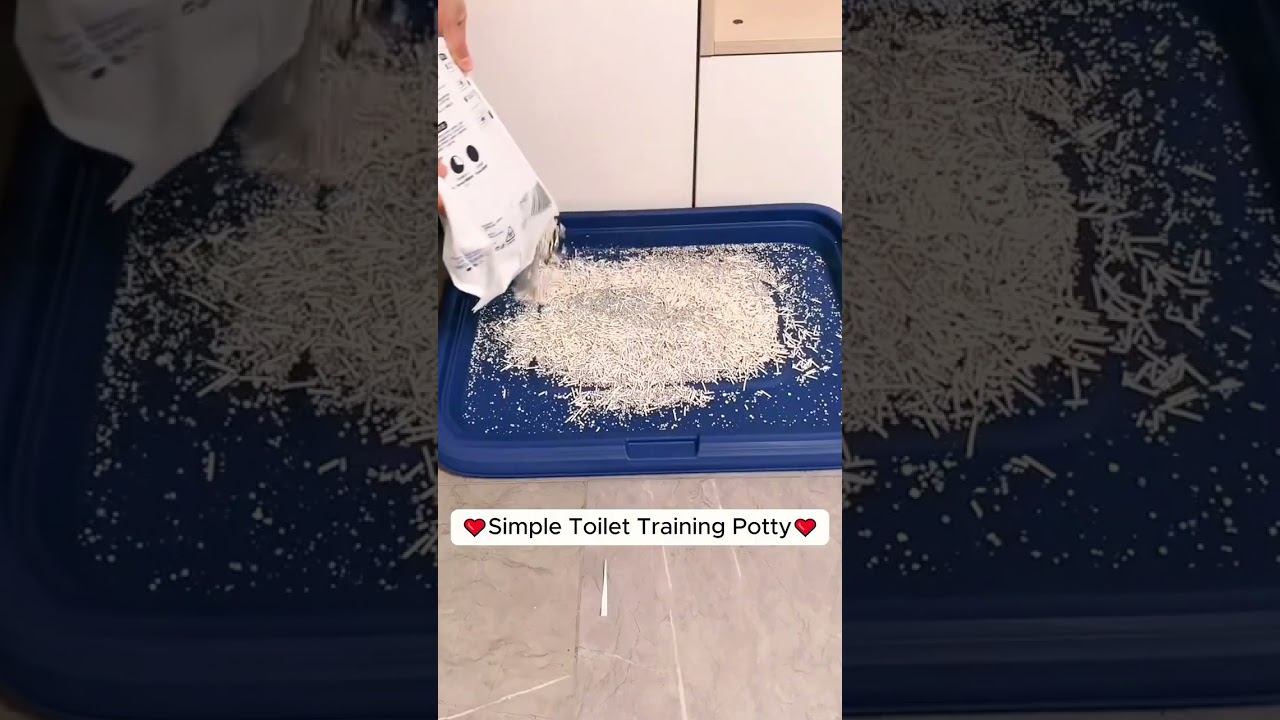 🐕💩The Poop-ernatural Guide to Dog Potty Training!#dog #short #dropshipping #shopify #ecommerce