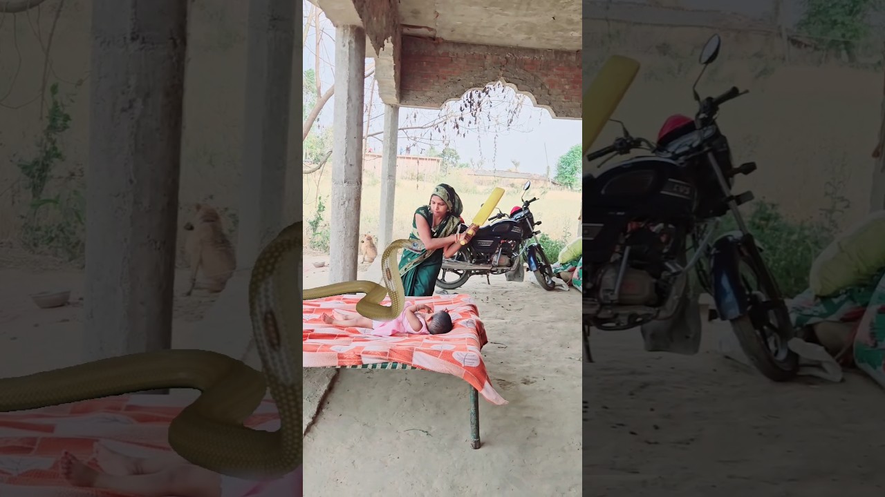 Chandaniya (Lori Lori) 🥲😂 #shorts #emotional #motivation #viralvideo #ytshorts #trending #viral