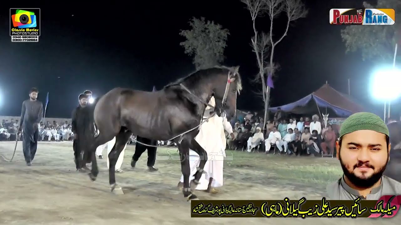 Barsat Wattoo ll Horse Dance Garah Fateh Shah Sahiwal ll 2023