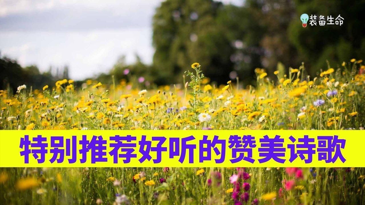 装备生命 - 特别推荐八首好听的赞美诗歌 l 最好听的基督教歌曲 l 最好听的赞美诗歌 - 王梓旭 - 高原 - 天籁天