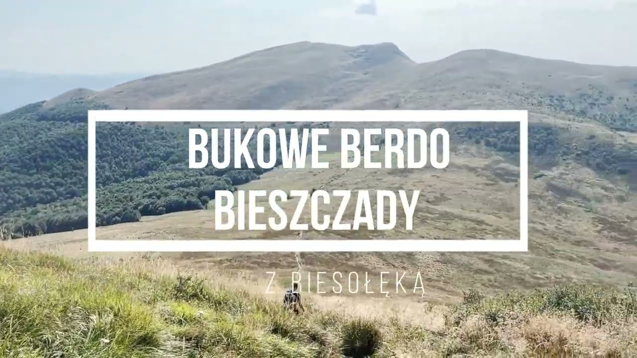 Bukowe Berdo w Bieszczadach
