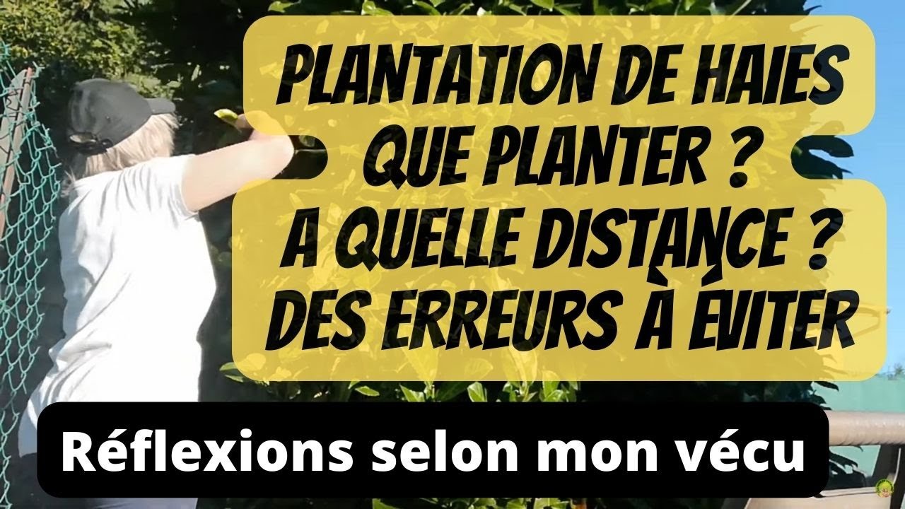 Haie persistante, avantages et inconv&eacute;nients et comment planter sa haie.