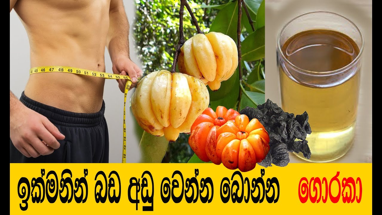 ඉක්මනින් බර අඩු කරන ගොරකා පානය Goraka drink for weight loss | Kettu Wenna