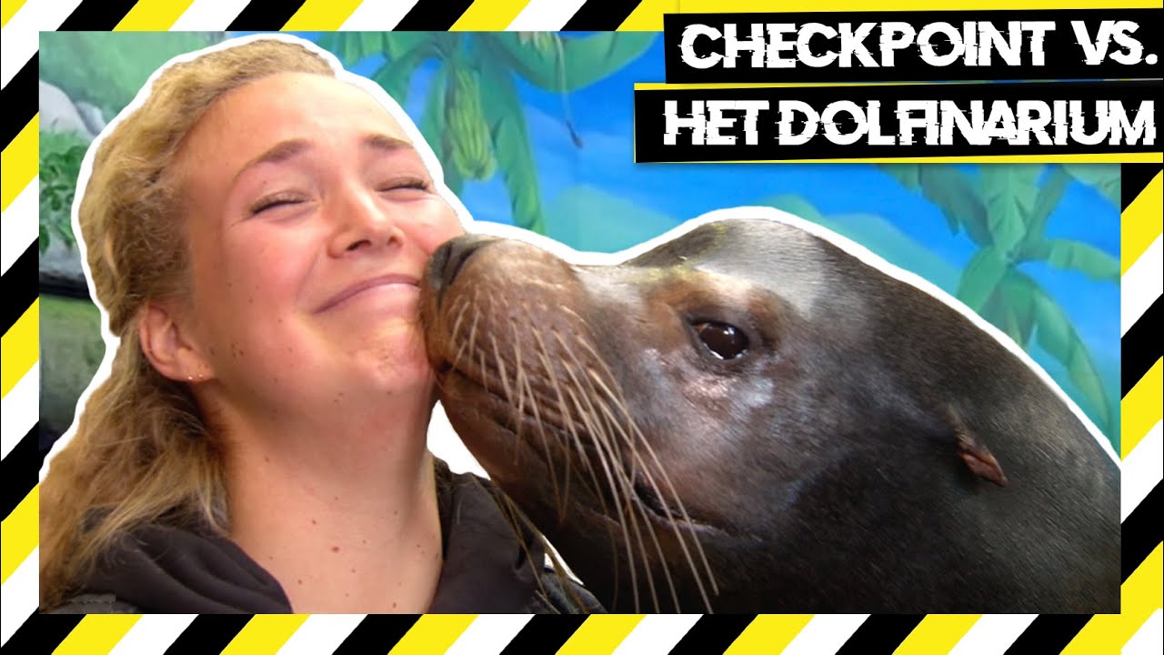 CHECKPOINT VS. DE DOLFIJNEN TRAINERS
