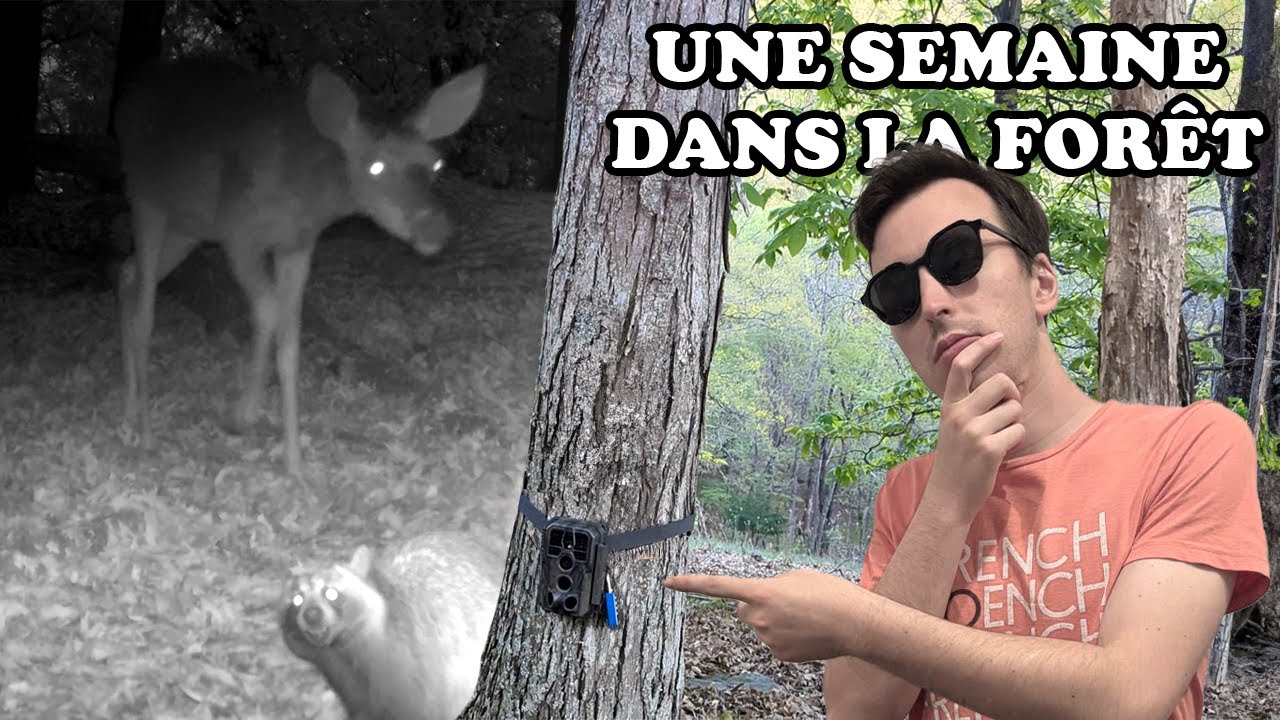 J'ai laissé une caméra pendant 8 jours dans les Appalaches