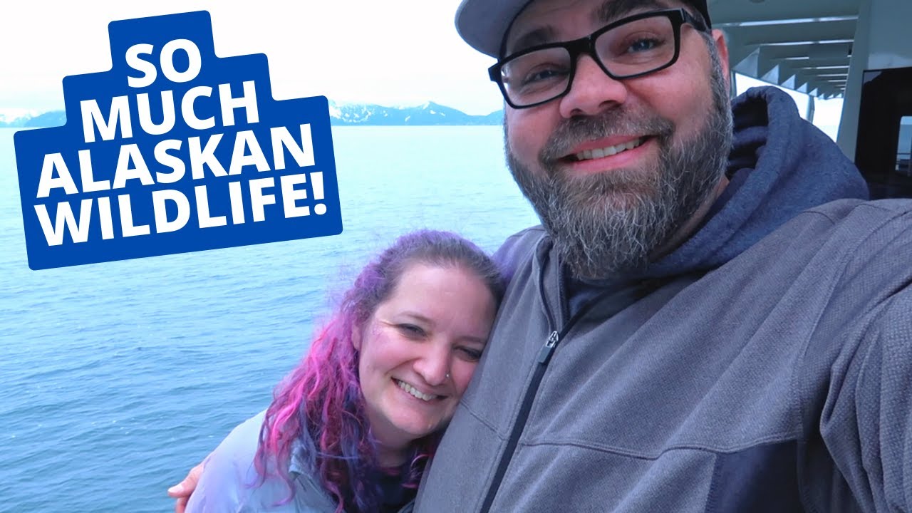 Whales in Alaska! Seward, Alaska Wildlife Cruise!