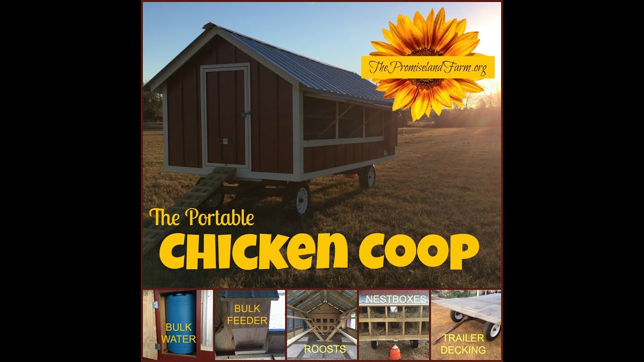 Chicken Tractor Coop