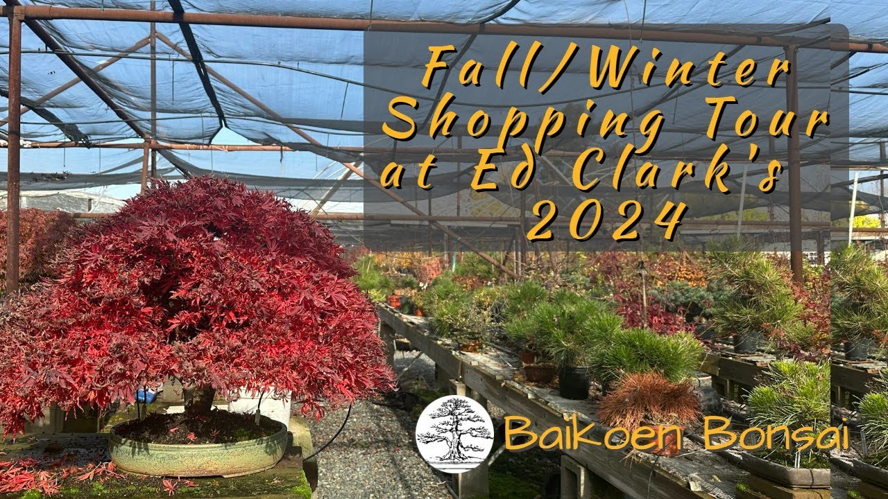 Ed Clark - Round Valley Nursery - Fall/Winter 2024 Tour - Bonsai Destination - Baikoen Bonsai Club