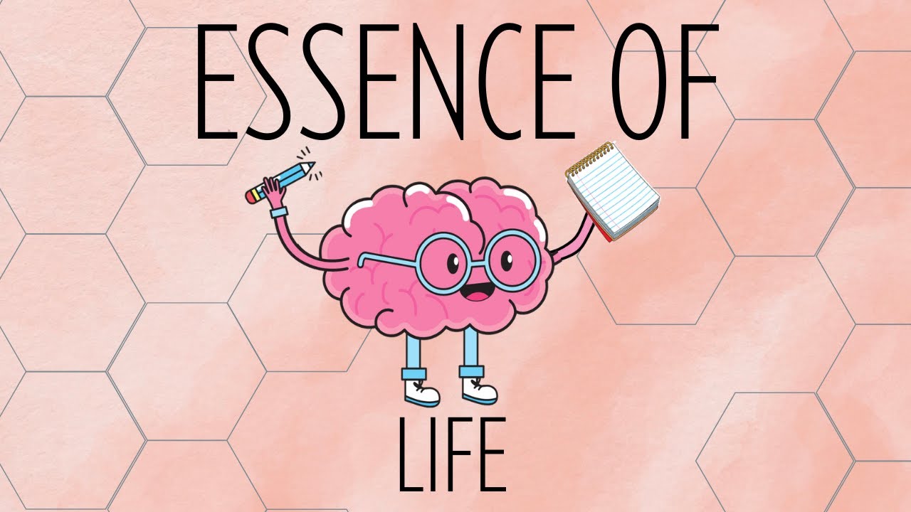The U.S. Education System | Essence Of Life