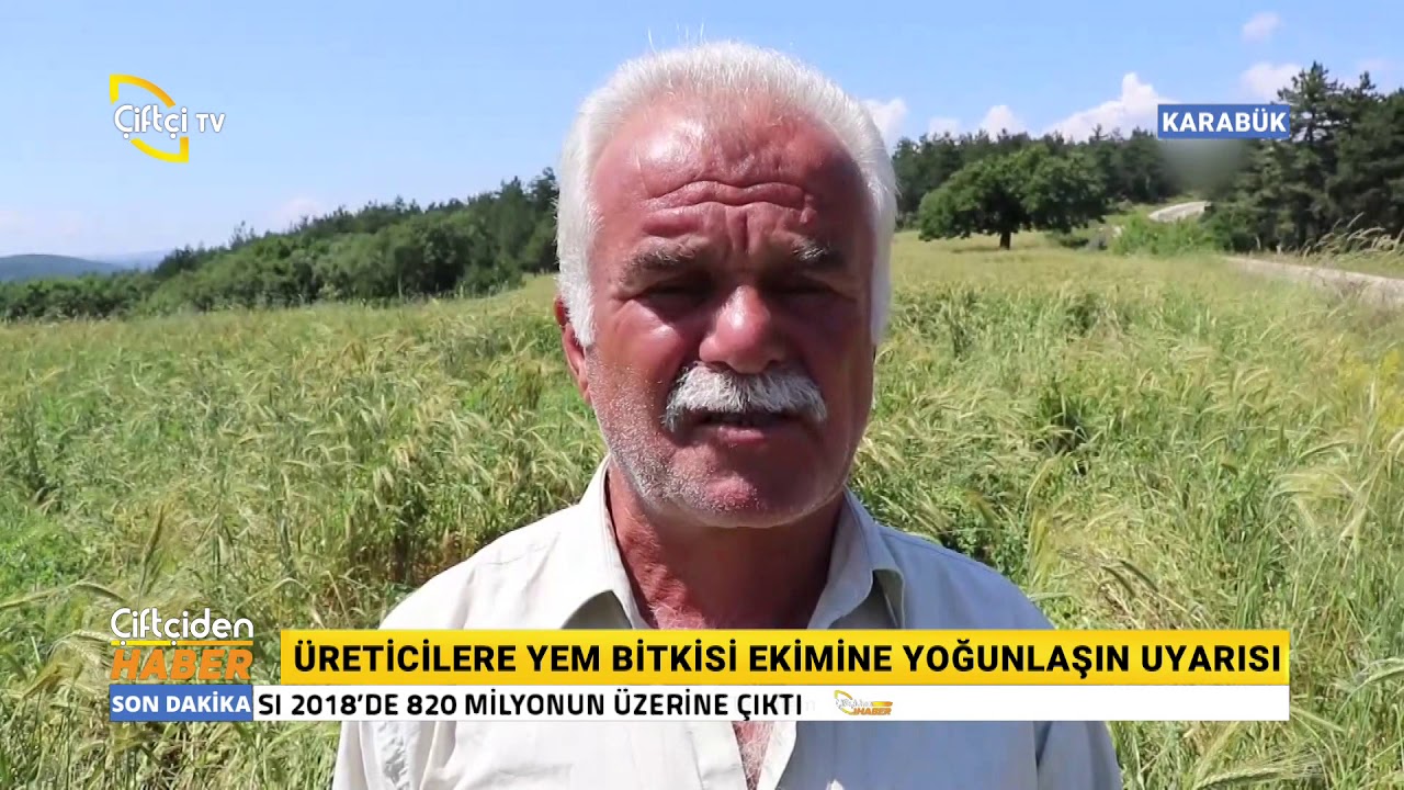 Yem Bezelyesi Üreticisinin Yüzünü Güldürdü