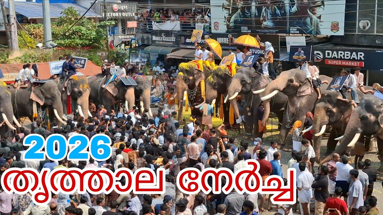 Thrithala nercha fest 2026തൃത്താല നേർച്ച ഫെസ്റ്റ് 