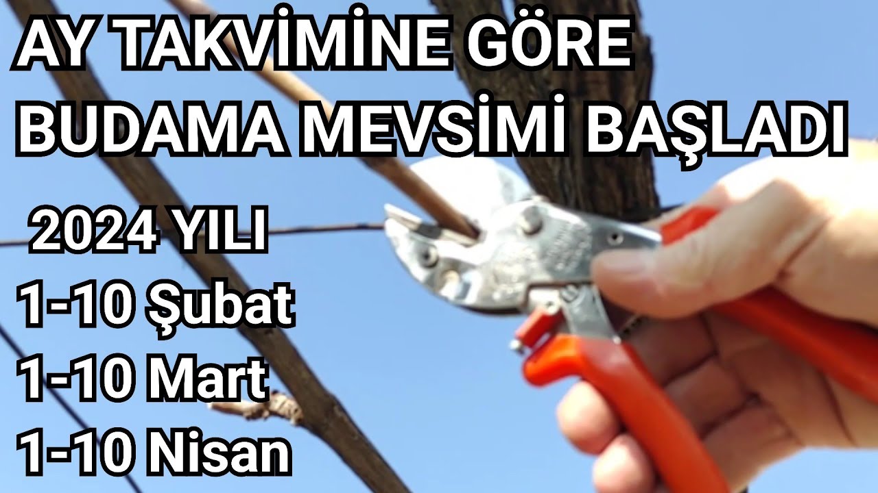 Ay Takvimine Göre Budama Zamanı Geldi