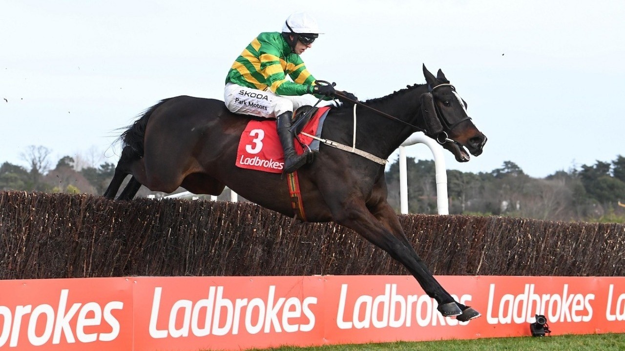 WOW! Kaid D’Authie upstages Final Demand | 2026 Ladbrokes Novice Chase, Leopardstown | Full Race
