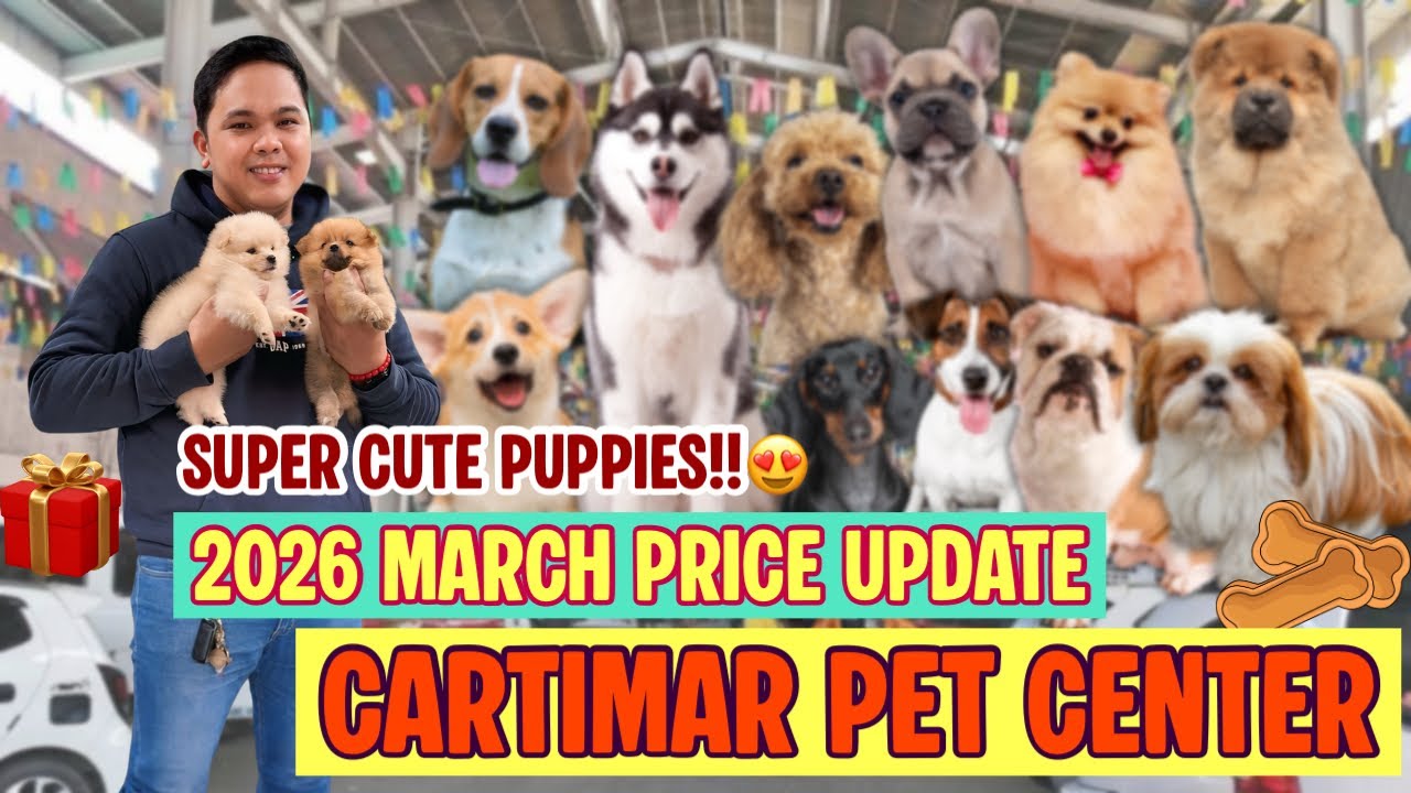 March 2026  UPDATED CARTIMAR PET PRICELIST + GIVEAWAY! CUTE & PURE BREED PUPPIES *MUST WATCH*