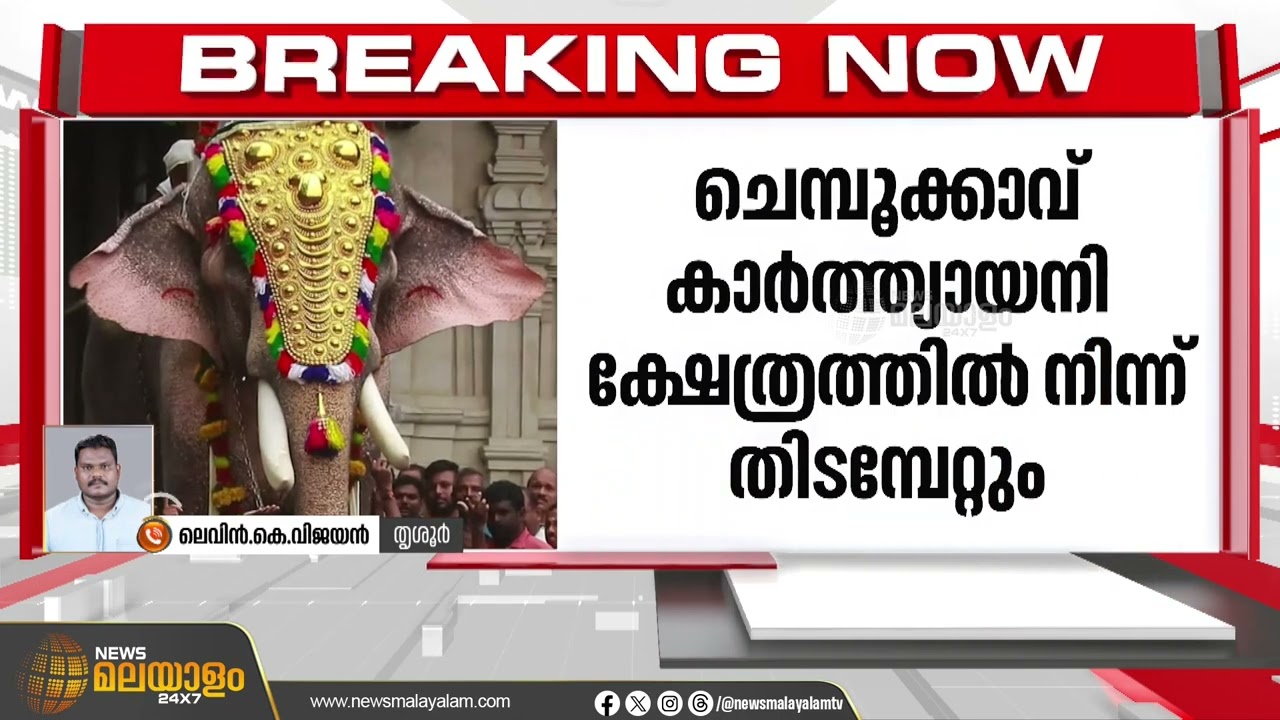 തൃശ്ശൂർ പൂരത്തിന് തെച്ചിക്കോട്ടുകാവ് രാമചന്ദ്രൻ എത്തും  | Thechikottukavu Ramachandran
