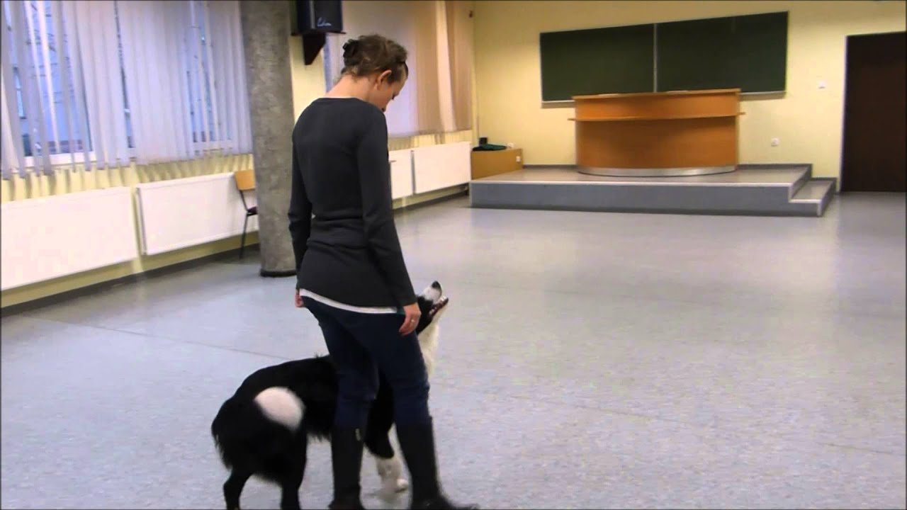 Szkolenie Podstawowe - poziom II