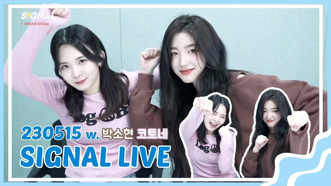 [트리플에스] 소현 & 토네 SIGNAL LIVE 요약 | 파도파도 끝이 없는 tripleS 탐구생활