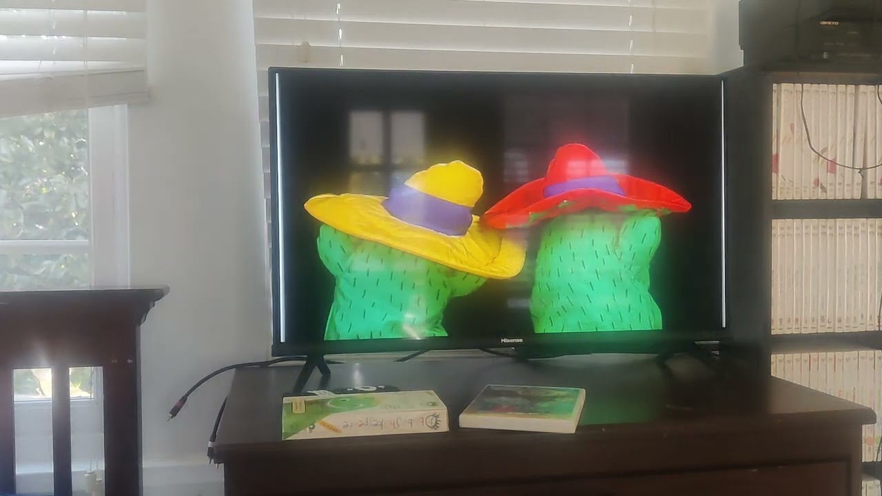 Opening to Baby Van Gogh 2002 DVD