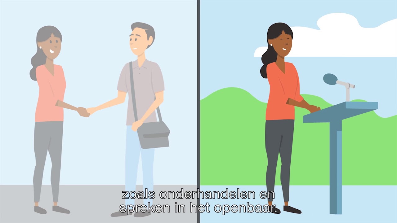 Wat doet een raadslid? - een animatie