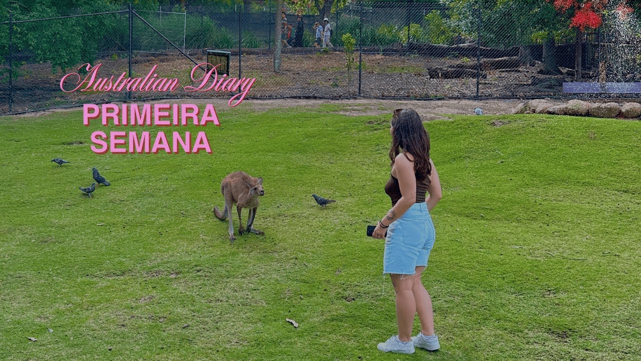 primeira semana na australia - cangurus e muito mais | giulia paié
