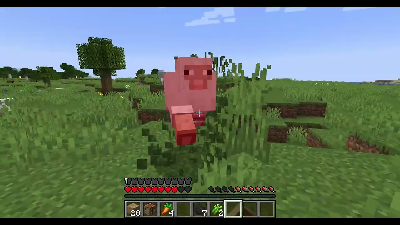 Me getting sidetracked in a Minecraft Video.