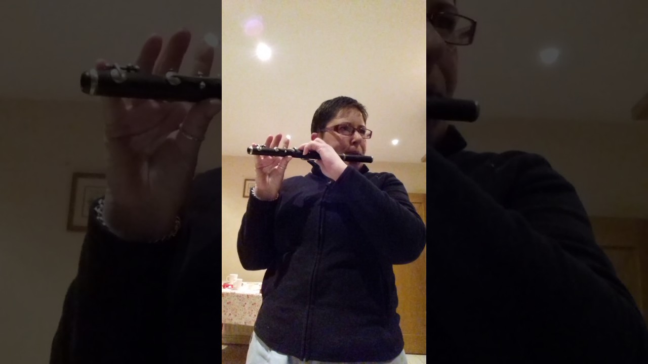 Hawkes crown AZ  Bb flute