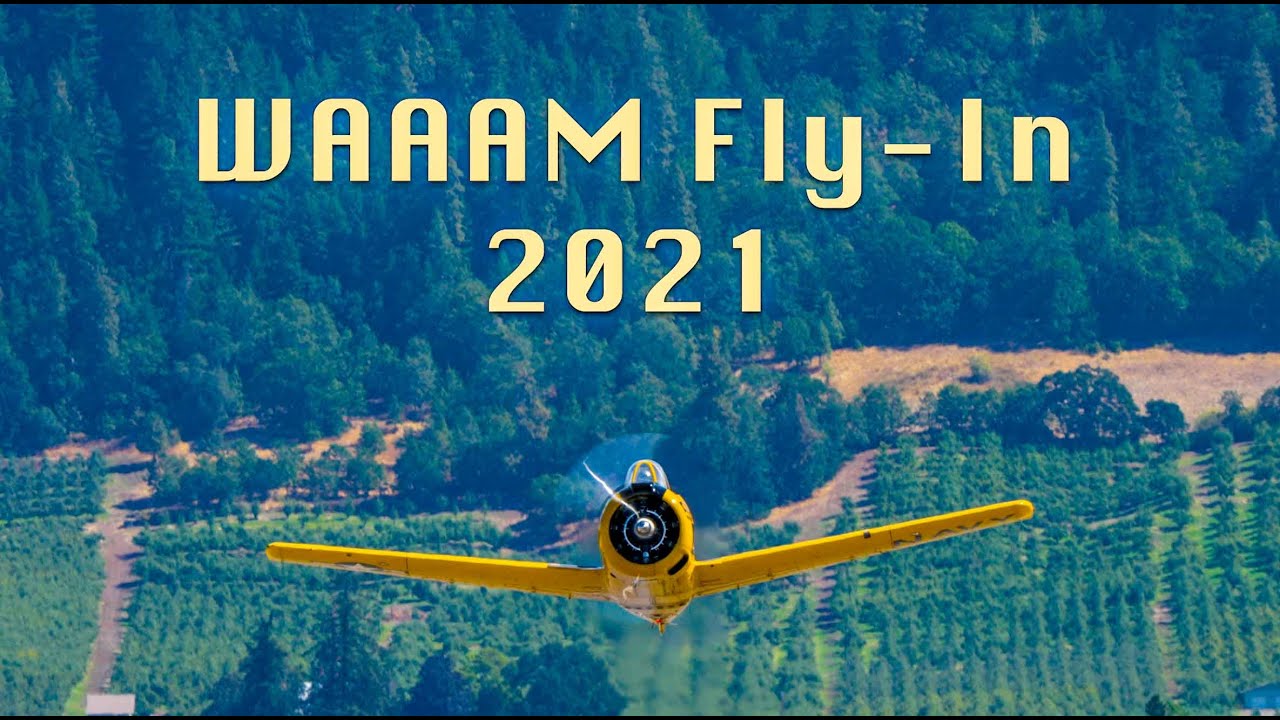 Vintage planes at WAAAM Fly-In 2021