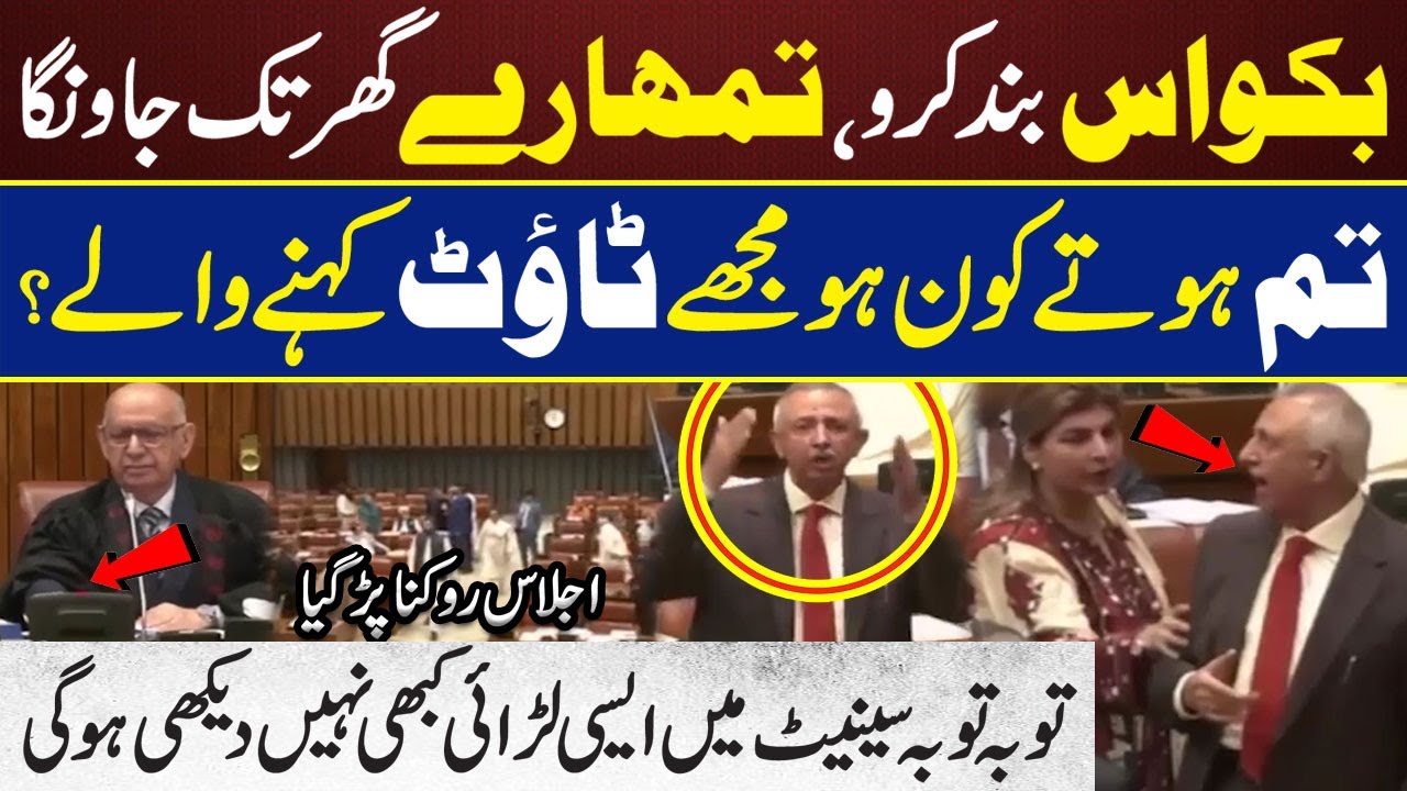 Fight in Senate of Pakistan | PTI and PPP Senators face to face in parliament | Shahadat Awan