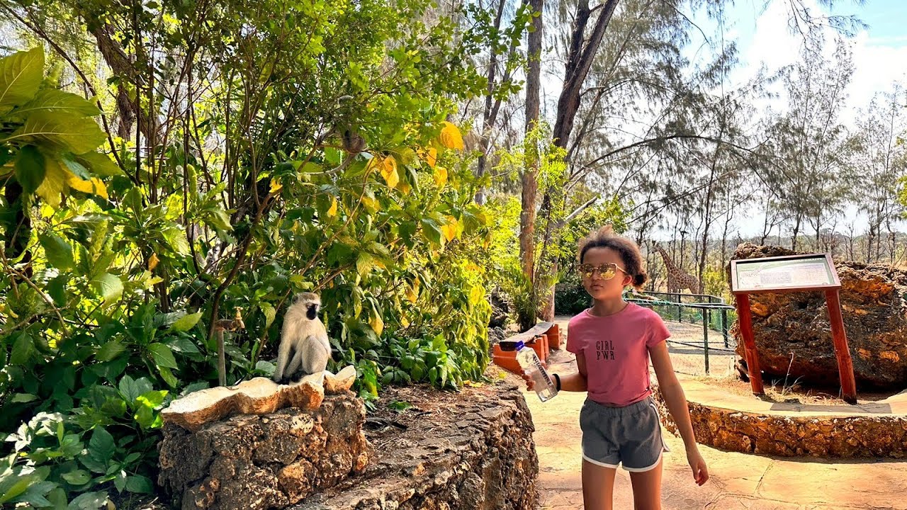 Epic Random Visit to Haller Park in Mombasa - Kenya with @AmandaRowe