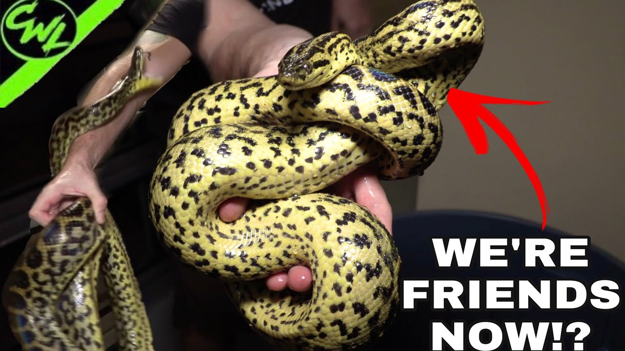 ANACONDA BATH PARTY!!!