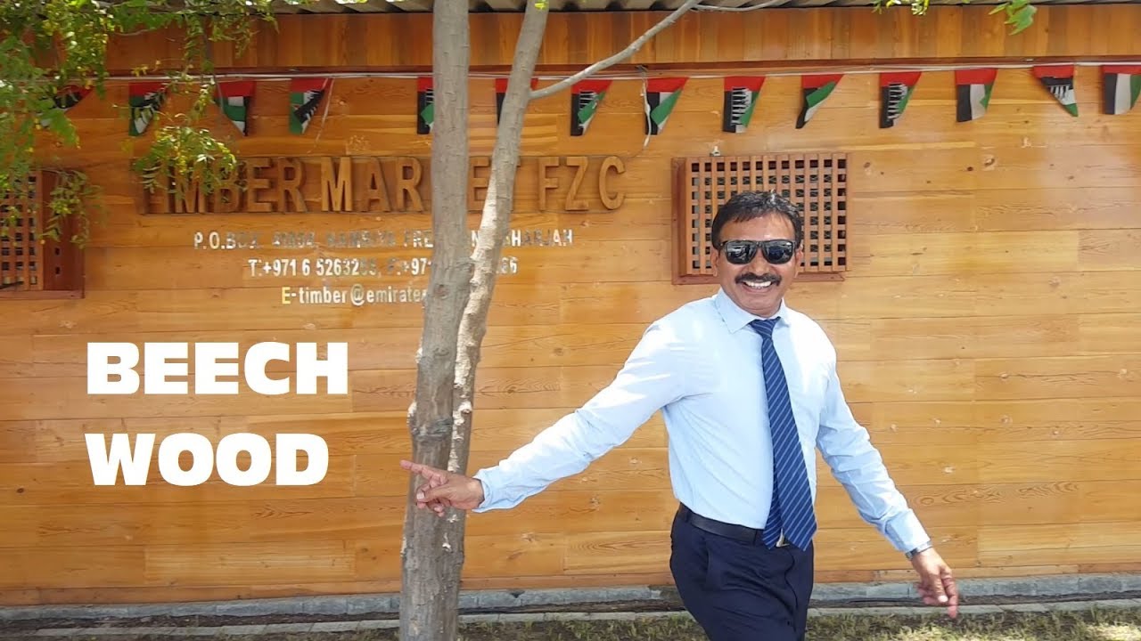 EP-03 Beech Wood - TIMBER MARKET video profile - HINDI