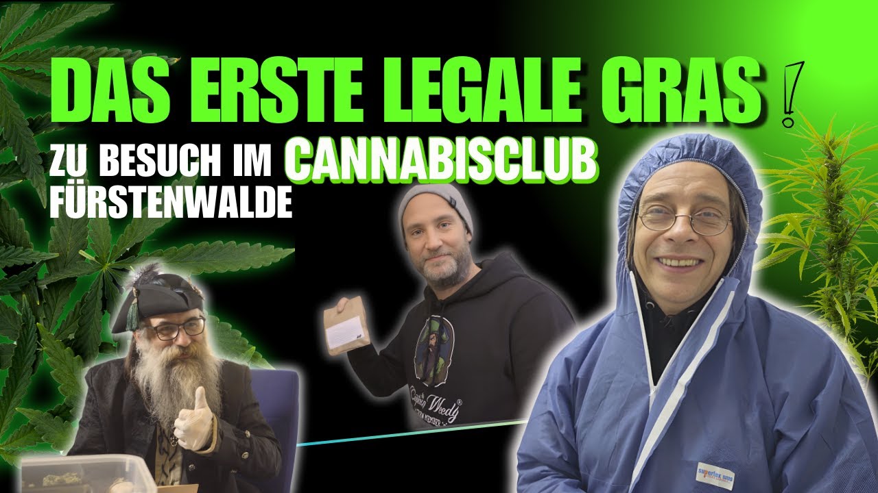 BUBATZ bleibt LEGAL! Ernte und Abgabe im CANNABIS-CLUB