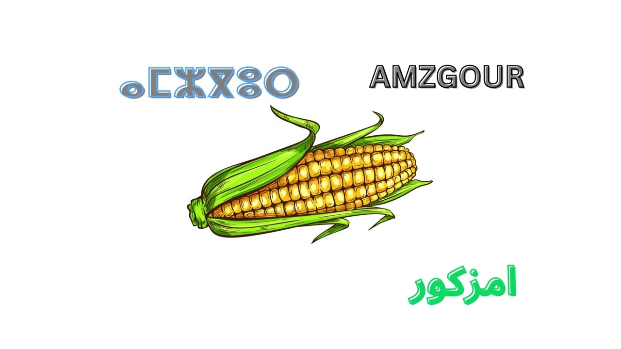 tamazight ⵜⴰⵎⴰⵣⵉⵖⵜ