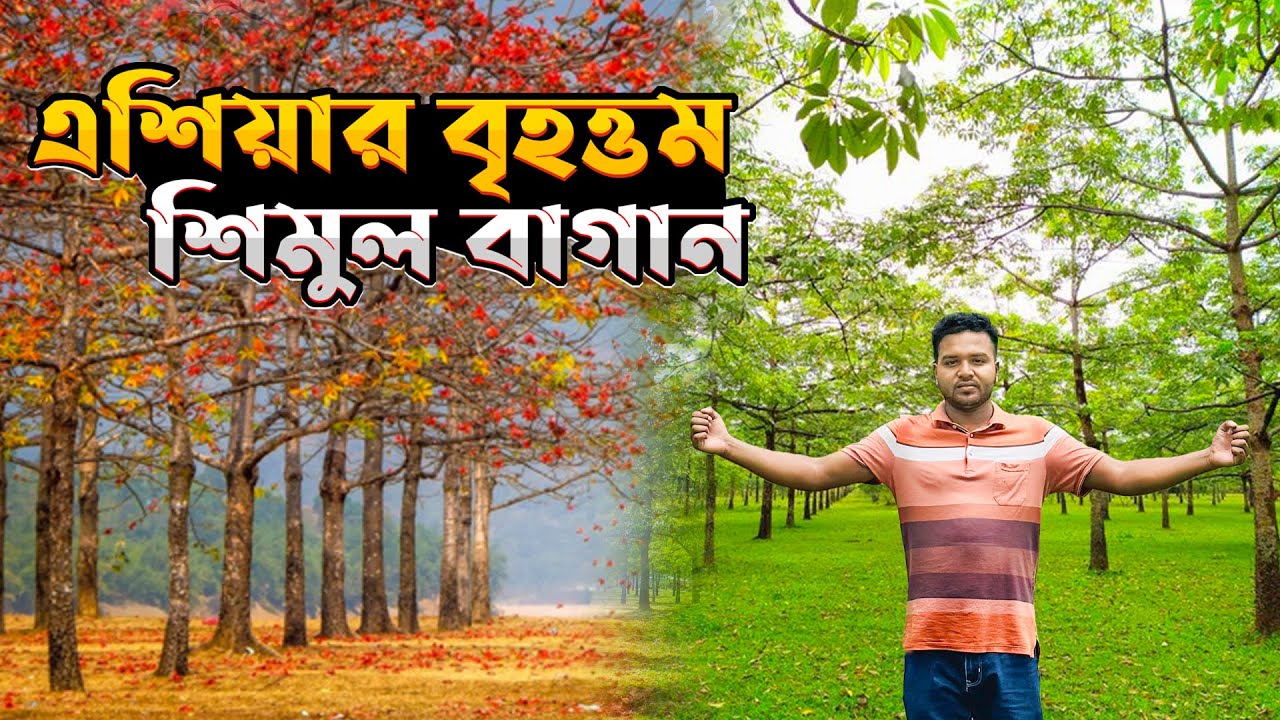 শিমুল বাগান সুনামগঞ্জ | Shimul Bagan Sunamganj | Ghuri Firi ঘুরি ফিরি