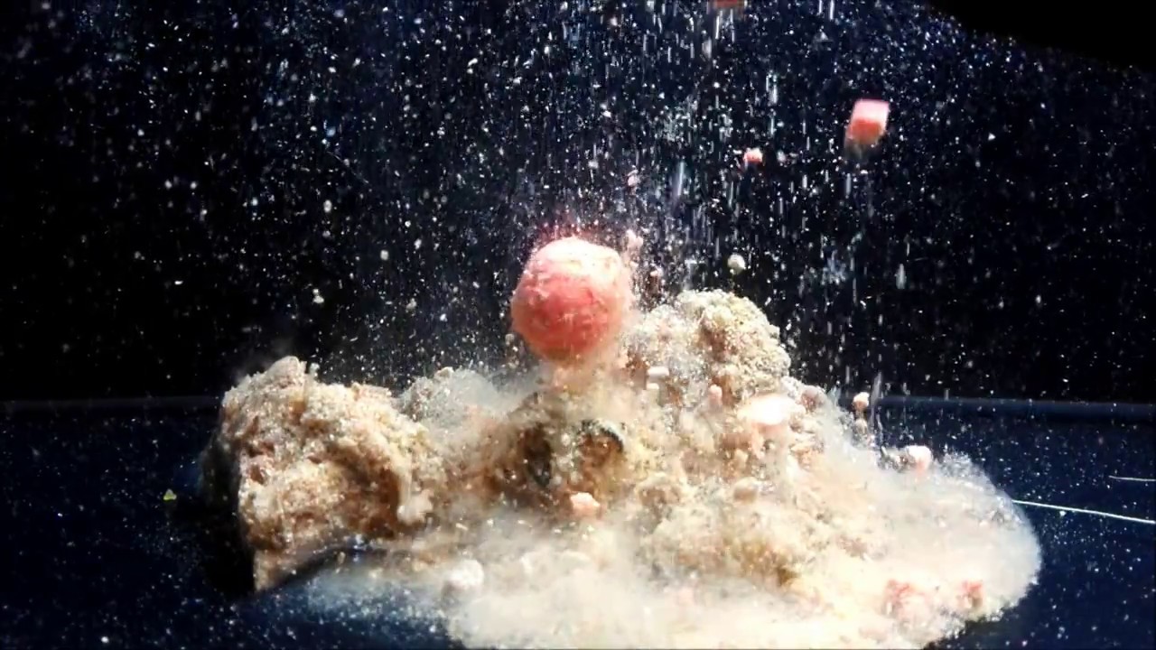 Jak zrobić Krylową bombę - Krill Bomb - Karel Nikl