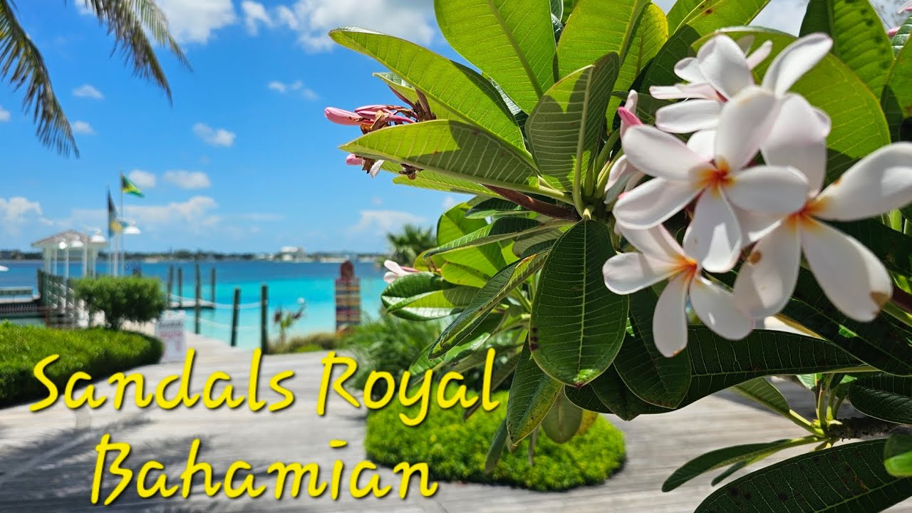 Sandals Royal Bahamian Full Walking Resort Tour, BP Room Tour, Sandals Barefoot Cay Island Tour