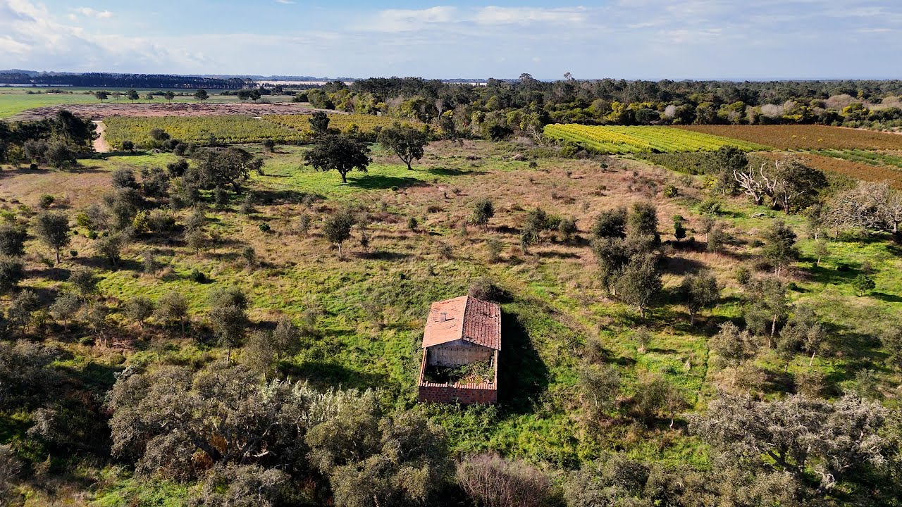 22Ha Dream Property in Zambujeira do Mar – Ruins, Nature & Investment Potential