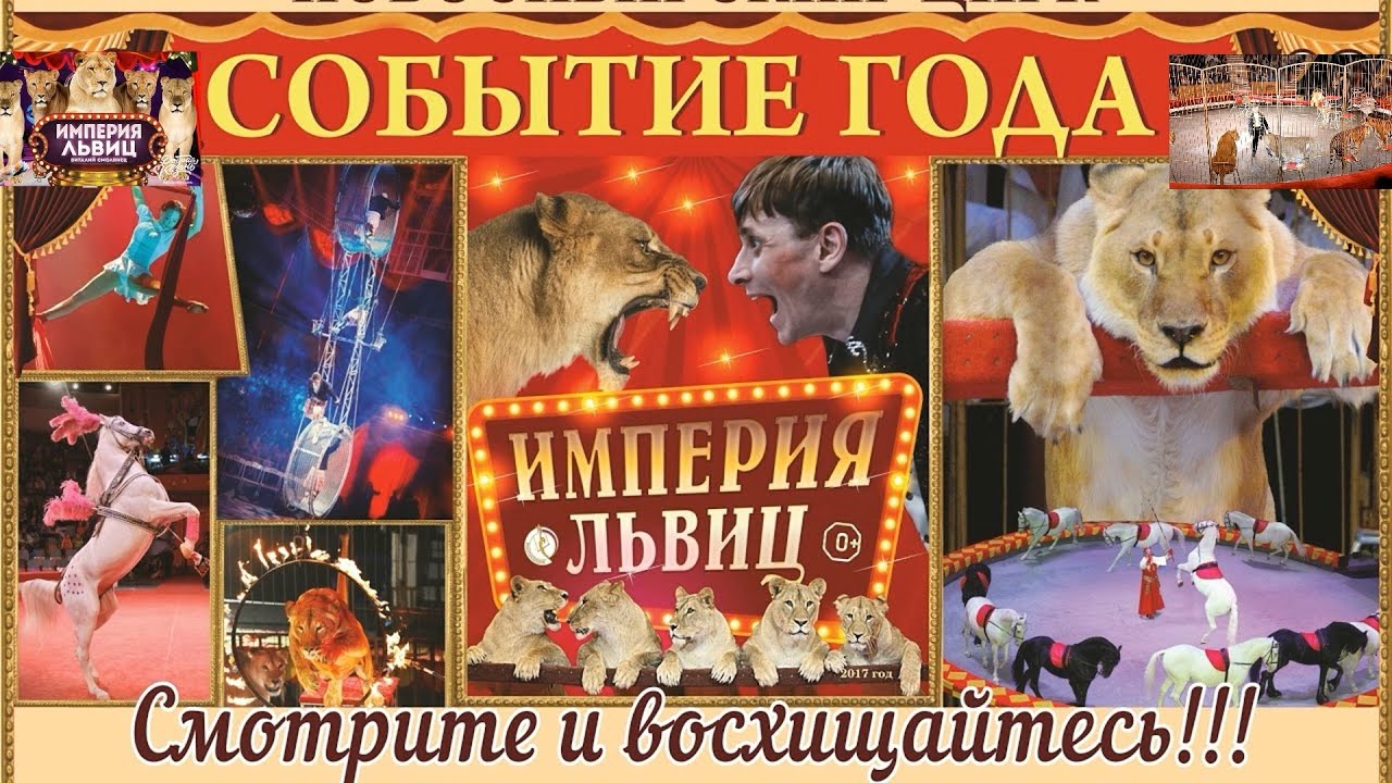 Цирк Лучшее Незабываемое и Сказочное Шоу 