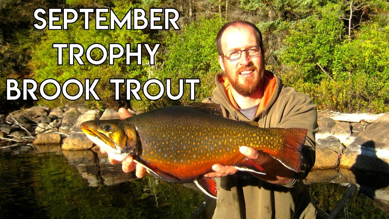 September Trophy Brook Trout | Blue Fox Camp