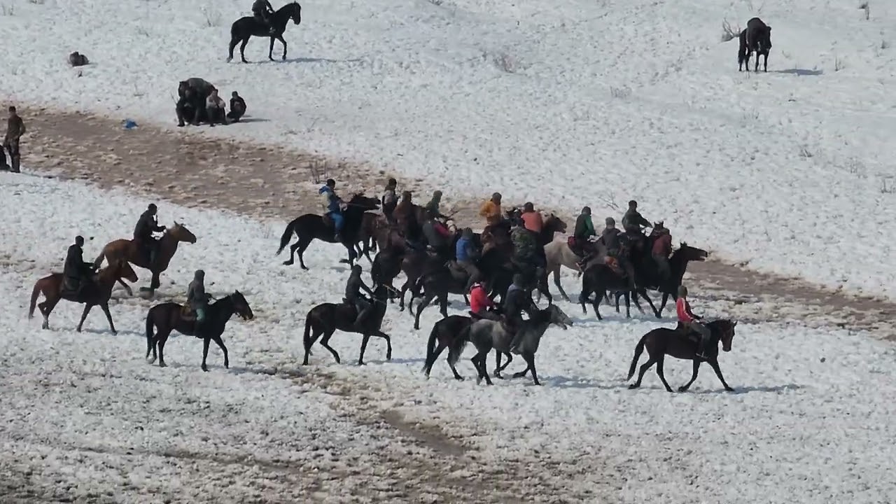 Бузкаши н Точикобод Д Нушори Поён 15 02 2026 кисми 4