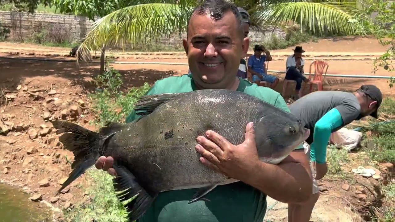 PESCARIA NA CHÁCARA COMÉDIA SELVAGEM
