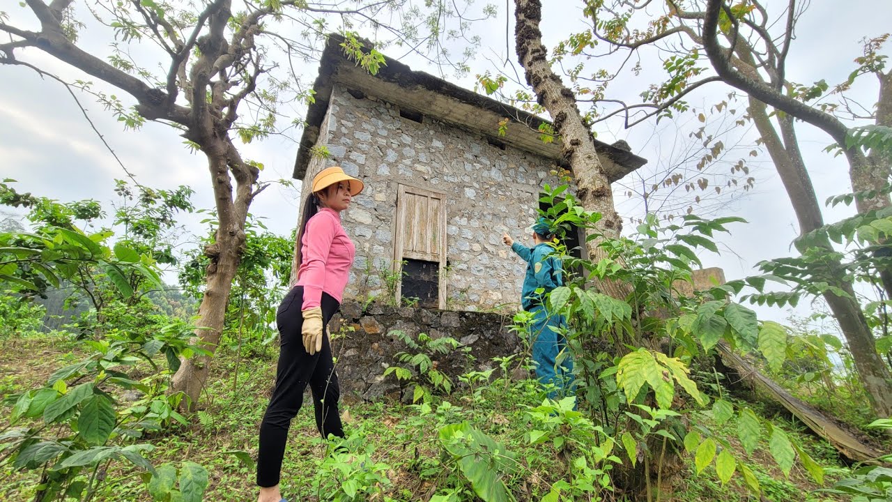 The hiddenness of the abandoned prison on the island,Girl earns $200 from refurbishing it
