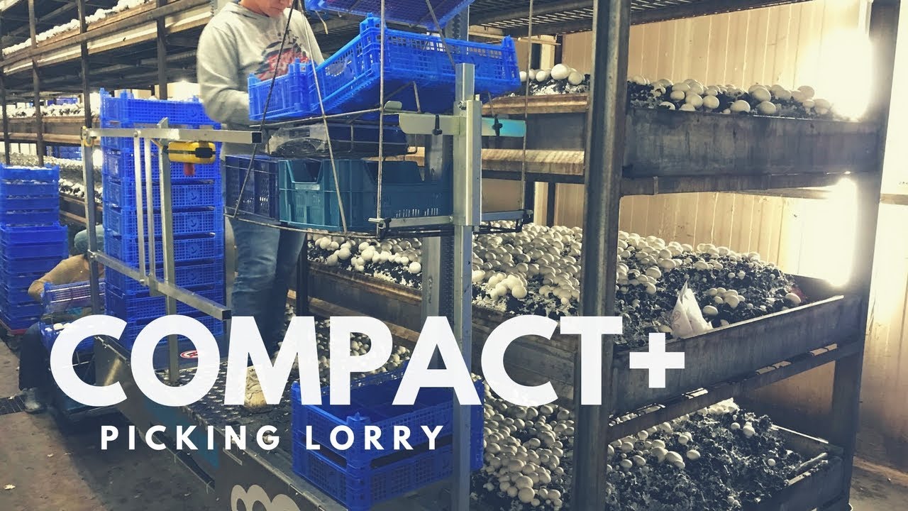 Mushroom Machinery - The Highly Wanted Compact+ Picking Lorry