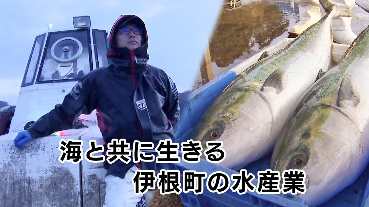 【特集】海と共に生きる 伊根町の水産業｜KBS京都