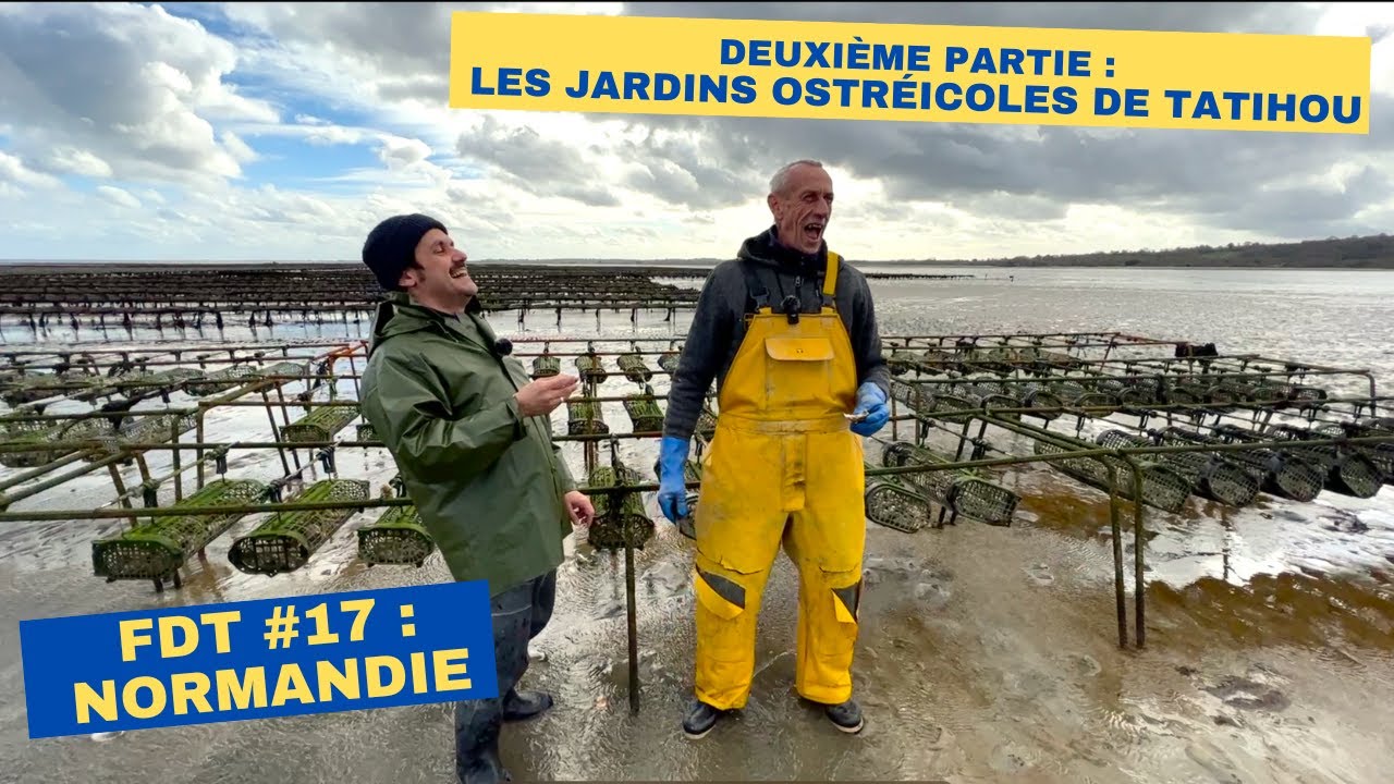 FDT #17 NORMANDIE, DEUXIÈME PARTIE SPÉCIAL 