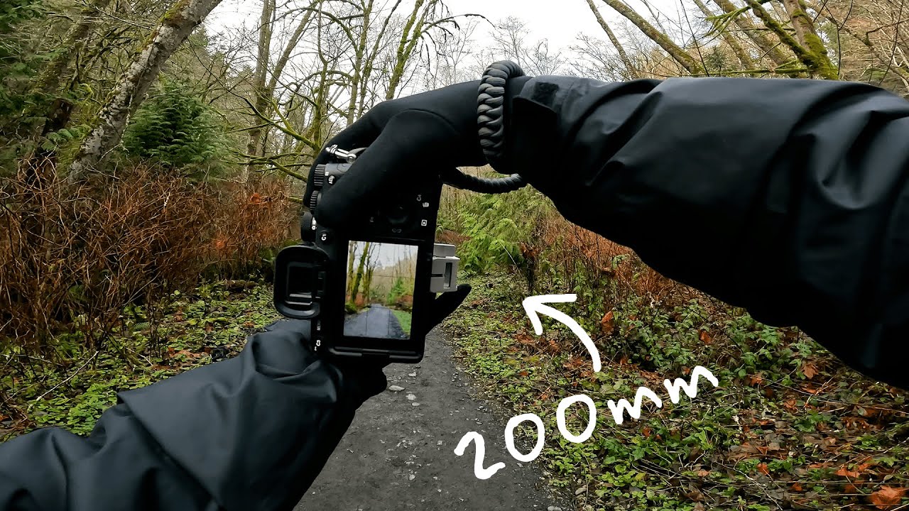 POV Nature Photography - Forest to the Sea